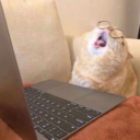 iwantitigotitrn avatar