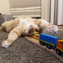 iwasrightaboutthesun avatar