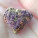 iwellsingyouthesongofmyppl avatar