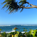 iwillofferyoumysoul avatar