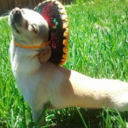 iwillseeyouinheaven avatar