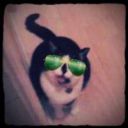 izze-bizzle avatar