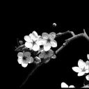 j4mpf0rtickets avatar