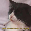 jaegerpoltergeister avatar