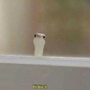 jameztallicajr avatar