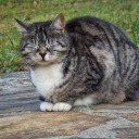 janabottomslutwhore avatar