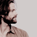 jaredgifsdaily avatar