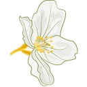 jasmineflower avatar