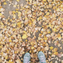 jasminerunstons avatar