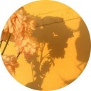 jaspertheloser avatar