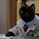 jauntylittlefrillyboy avatar