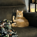 jaybird314159 avatar