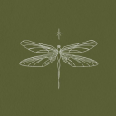 jaybirdbluejay avatar