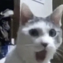 jchrispykreme avatar