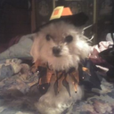 jeffreygmm-blog avatar