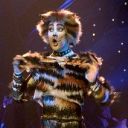 jellicle-quotes avatar