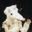 jellicle-rat avatar