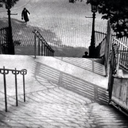 jellyfish-ocean avatar