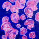 jellyfish-perspective avatar