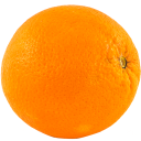 jellyfishhugger avatar