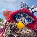 jellywellyfubby avatar