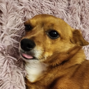 jenjenrose-irl avatar