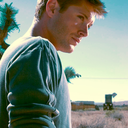 jensenackles-supernatural-b-blog avatar