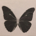 jessalyn-jpeg avatar