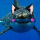 jesse-is-spiralling avatar