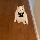 jesusfuckingchrist avatar