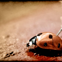 jimhensonssexshop avatar