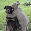 jimmysherself avatar