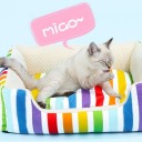 jinguanghao-may avatar