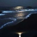 jisootumbrl-blog avatar