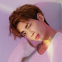 jjong-merong avatar