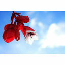 jkalouvou-blog avatar