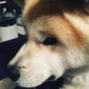 joannawinchester avatar