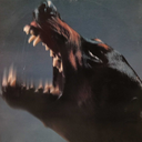 jocelyndambre avatar