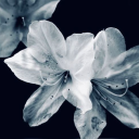 joetoyesdoeeyes avatar