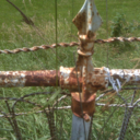 johndailey-blog avatar