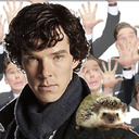 johnlockhedgehog149 avatar