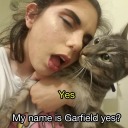 johnwatersmustache avatar