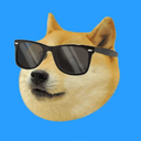 join-the-doge-side-luke avatar