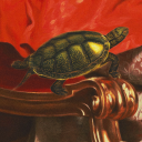 jolie-goes-rome avatar