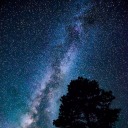 jolie-poupee-en-rose avatar