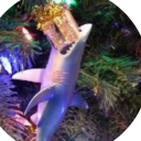 jolly-cup-o-joe avatar