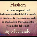 josedeanimatea avatar