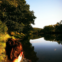 joyfullywander-blog avatar