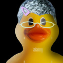 jpegduckie avatar