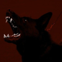 judethewolfe avatar